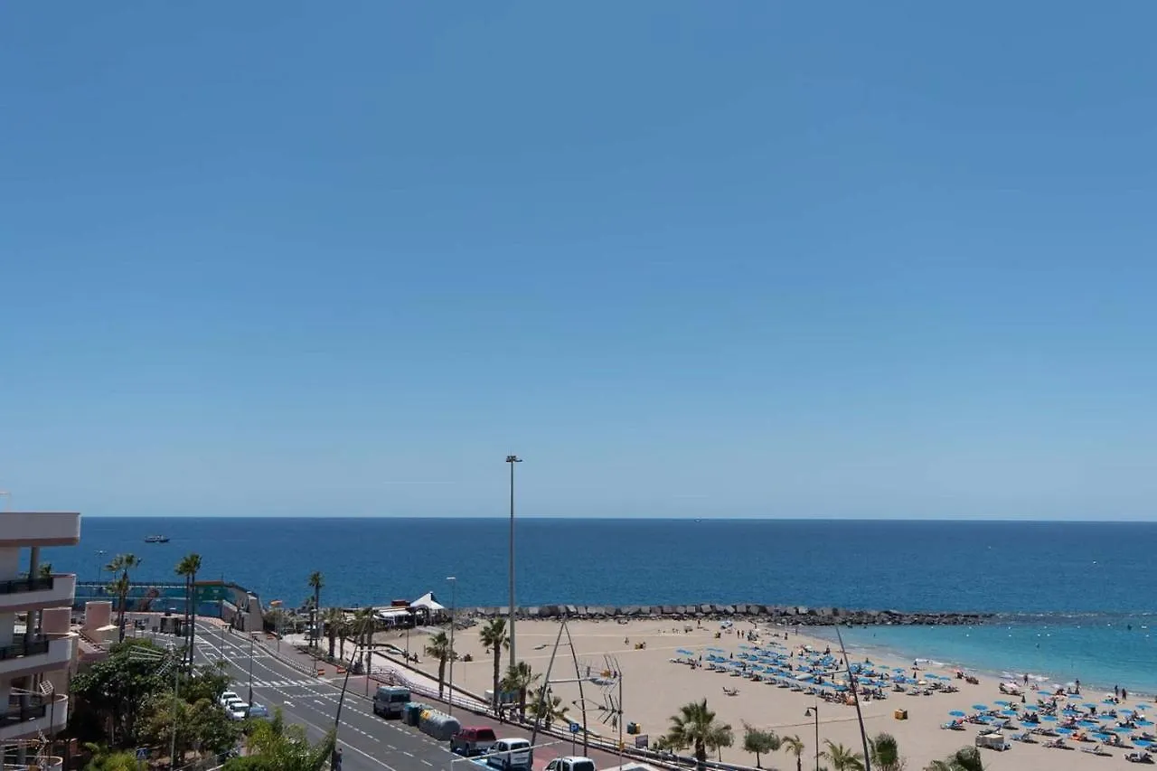 Virginia Apartment Los Cristianos   Los Cristianos (Tenerife)